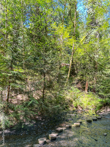 Stepping stones in Boeing Creek Park