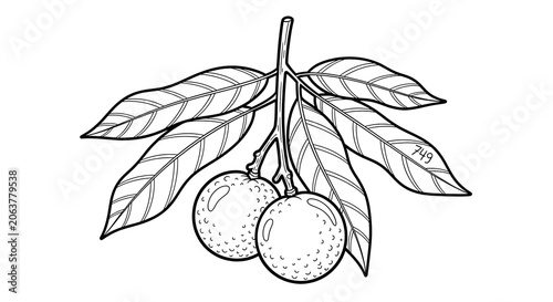 Black and white illustration of a stylized butterfly with circular pattern wings.