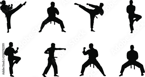 Photos Black silhouettes of martial artists performing dynamic kicks, punches, and defe