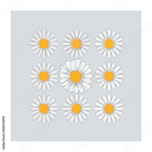 White daisies with yellow centers in a grid pattern