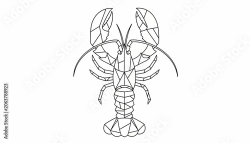 Lobster geometric illustration, seafood concept, line art