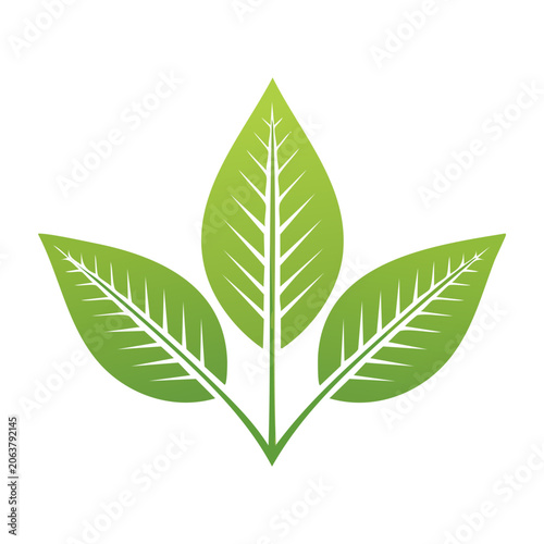 Flat design green leaf vector icon