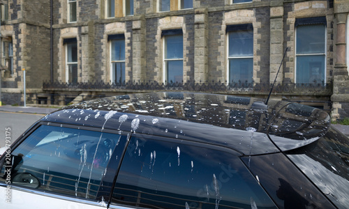 Black car roof and windows splattered with bird droppings and streaks while parked by a stone building, illustrating vehicle dirt, outdoor grime and the need for cleaning or maintenance.