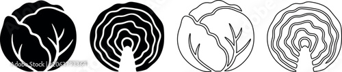 фотографія Set of four stylized cabbage icons, solid and outline versions