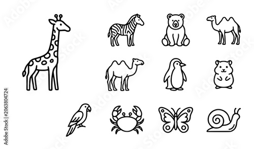Photography Minimal animal line icon collection with domestic and wild creatures for web and