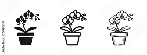 Bild auf Leinwand Potted orchid flower icon set
