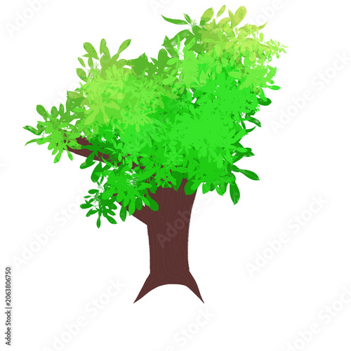 Green Leafy Tree Nature Illustration