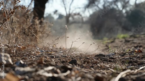 A low-angle shot showcases dry leaves, dirt, and dust particles in a sunlit outdoor scene