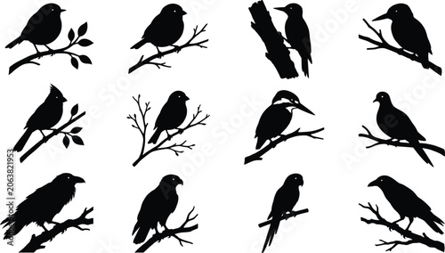 Tableau sur toile Bird Silhouette Collection Featuring Perched Songbirds Crow Parrot Kingfisher an