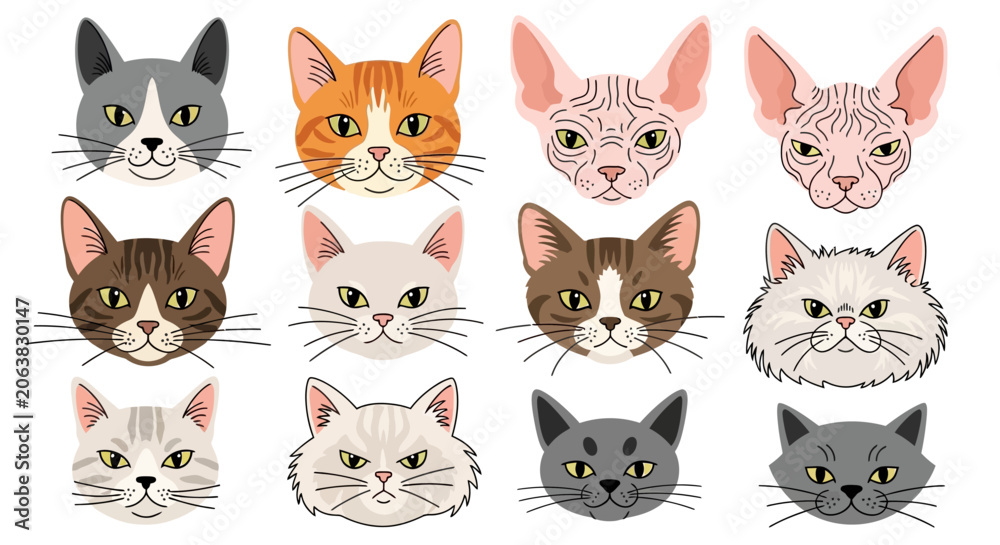 Fototapeta premium colorful cat faces, cartoon style, various breeds, illustration for web, emoticon concept