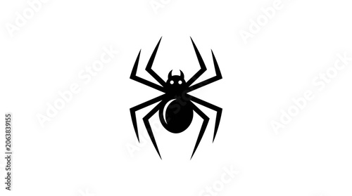 Konstfotografi Black spider silhouette closeup view.