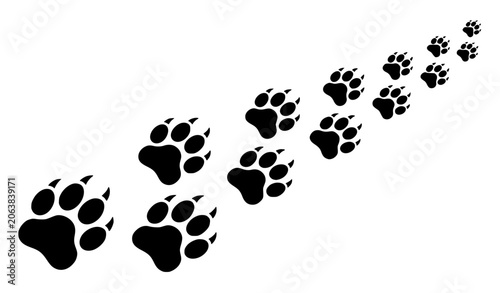 Photography Set of Lion Paw Prints and Animal Tracks Pattern with Different Angles Vector Wi