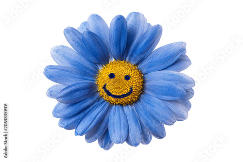 Hand-drawn blue daisy flower with a smiley face in crayon style isolated on transparent background, Clipart png