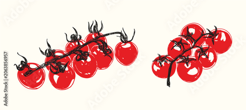 Photos Vintage Garden Cherry Tomato Set