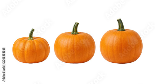 Konstfotografi Three different sized fresh orange pumpkins in a row