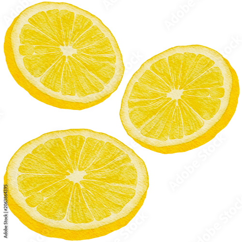 Bild auf Leinwand watercolor round slice of lemon drawing, isolated on white