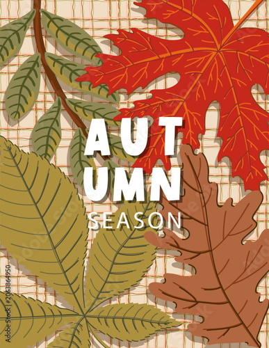 Frame Autumn themed cover. Fall leaves party poster backgrounds. Seasonal sale Vertical banner, flyer for social media, web, ads, promo