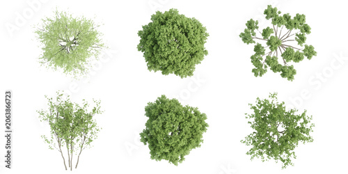 Schilderij op canvas Set of six different green trees and shrubs seen from above for architectural la