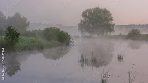 Obraz na plátně a tranquil landscape of a misty river at dawn