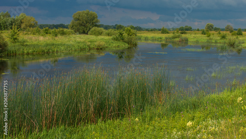 a peaceful landscape featuring a calm lake winding through lush green meadows, with a large, leafy tree reflecting beautifully in the water.
