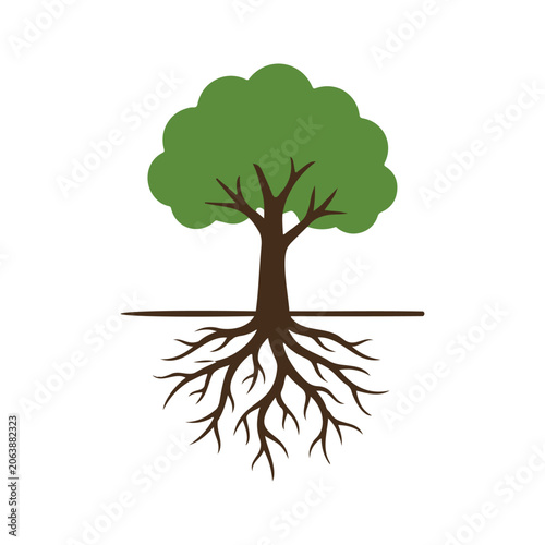Vector illustration of a tree with roots and green leaves on white background, symbolizing growth and nature.