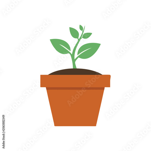 Vector illustration of a small green plant in a brown terracotta pot on white background