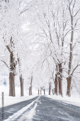 Winter landscape in the mountains, snow-covered trees along the asphalt road, view on a winter day.
