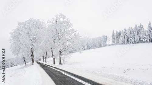 Winter landscape in the mountains, snow-covered trees on a hill with a black asphalt road, view on a foggy winter day.