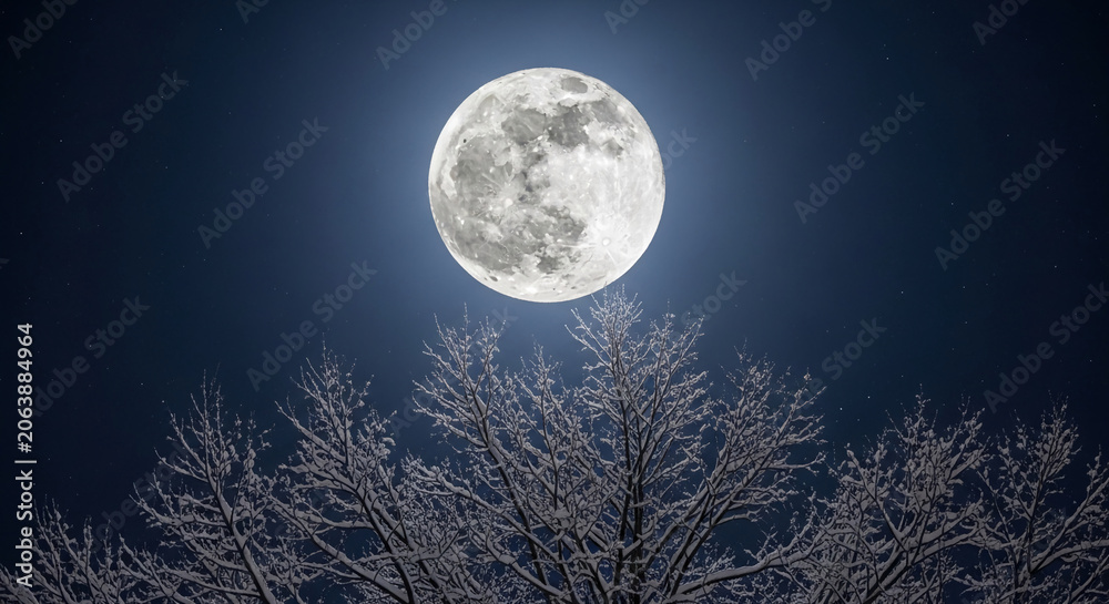 Fototapeta premium Full moon shines over snow-covered tree branches against a starry night sky, symbolizing mystery, winter, and nocturnal beauty