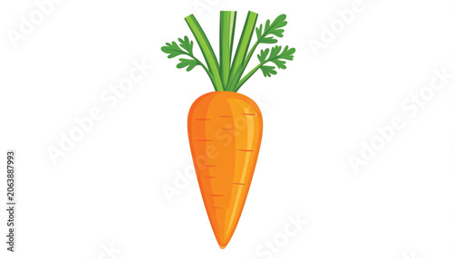 Fresh orange carrot vegetable root.