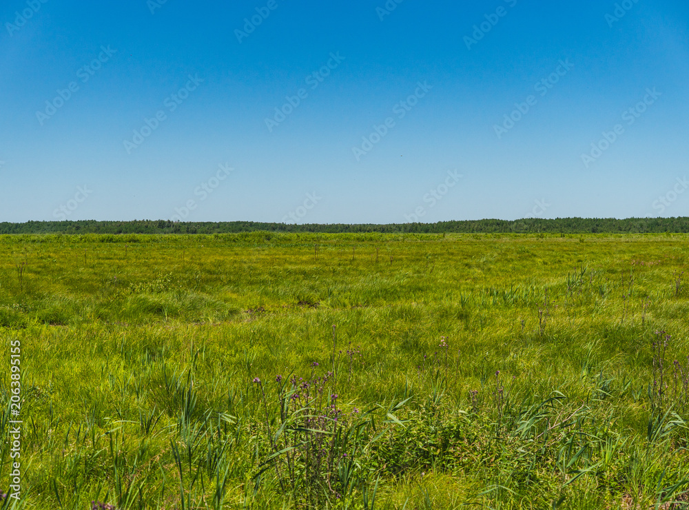 Fototapeta premium a landscape of vast plains periodically flooded during the spring thaw