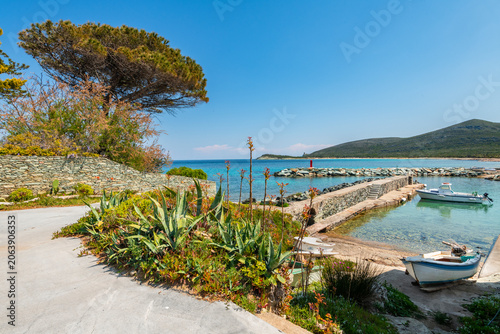 Petit port de Barcaggio au Cap Corse, Méditerranée