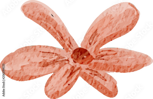 colorful illustration of flower petals and leaf clip art for background, wallpaper, card design