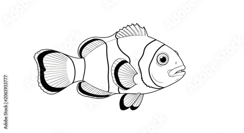 Clownfish swimming in ocean water.