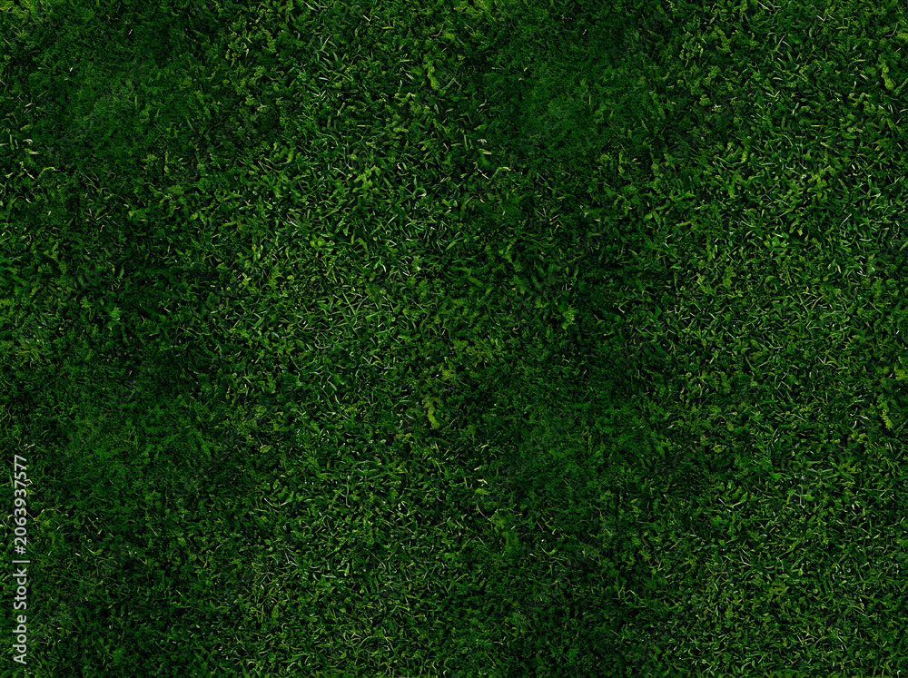Obraz premium Green grass texture overlay a full frame photographic background blade botanical
