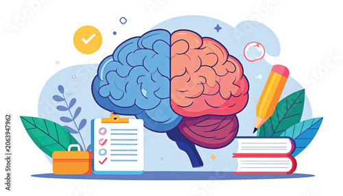Brain with colorful left and right hemispheres.