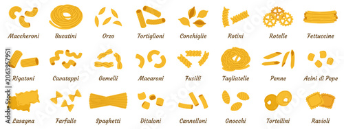 Set of Italian pasta types with names: spaghetti, penne, farfalle. Infographic collection of isolated macaroni icons with text titles. Perfect for menu, kitchen poster, culinary blog, food packaging.