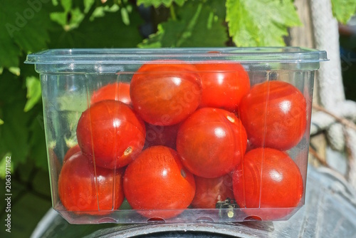 red round fresh tomatoes  in a white plastic box stands on a gray brown wooden table