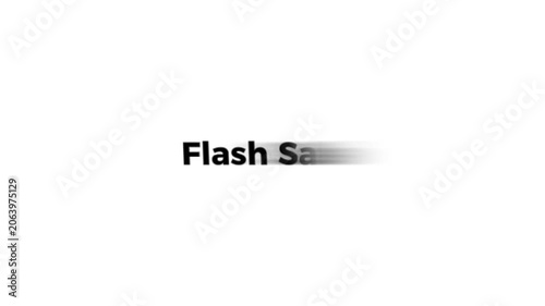 A blurry black logo on a white background with the text flash