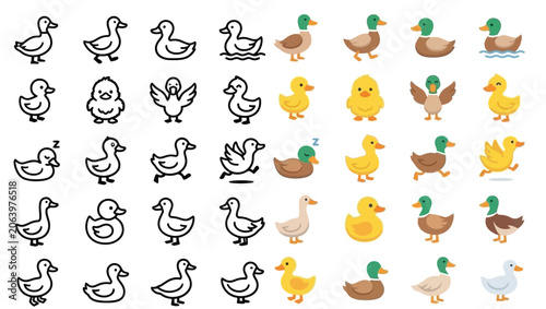 Bilde på lerret Collection of cute cartoon ducks and ducklings in various poses and styles