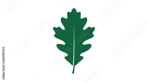Photos Dark green oak leaf with lobed edges on white