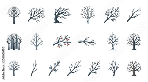 Fotografie Collection of various bare tree branches and trunks in different shapes and sizes on a white background