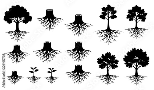 Tableau sur toile Black tree root and stump silhouette collection with young tree growth vector se