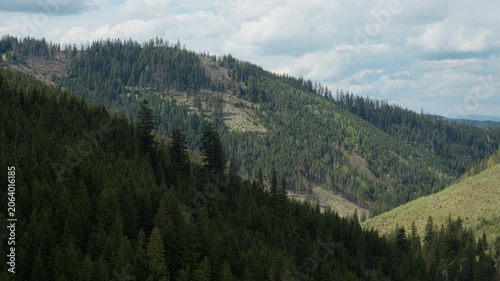Panoramic view of deforestation and clear-cut areas on mountain slopes in Tatra National Park, Poland. Mixed evergreen forest and logged patches in a deep valley under a cloudy sky.