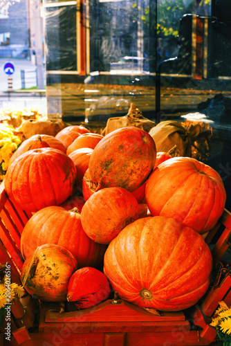 Pile of orange pumpkins on farmers market in wooden cart, autumn harvest, selective focus