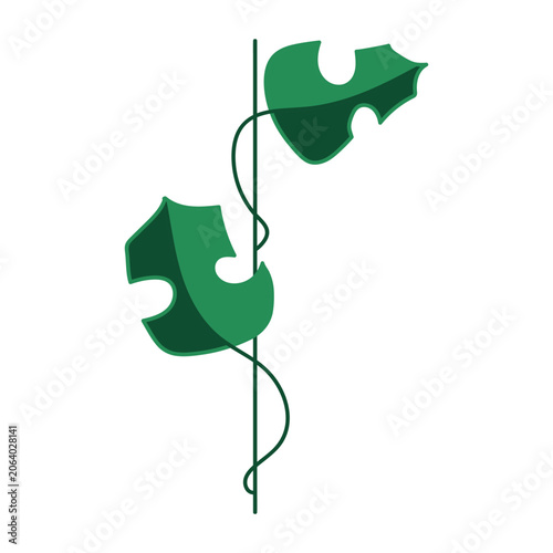 Tropical monstera leaves in emerald green colors isolated on a white background. Modern vector illustration with stylized foliage and flat shading for eco branding, logos, stickers, and posters.
