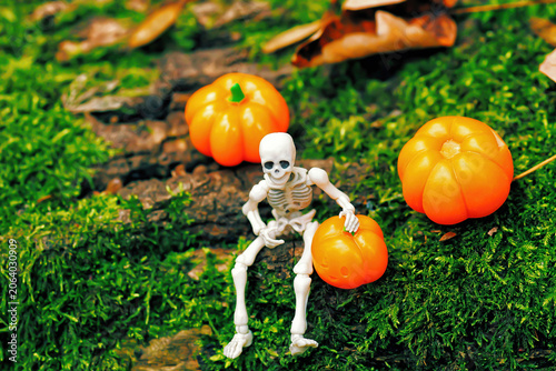 Skeleton figurine sits on green moss, orange pumpkins in autumn woodland, selective focus