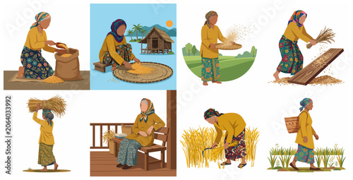 Bild auf Leinwand Vector illustration set of an elderly Southeast Asian woman farmer harvesting, winnowing, and processing rice in a traditional village setting