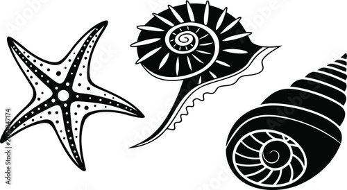 Obraz na płótnie Black silhouettes of a starfish nautilus shell and conch shell against a white b