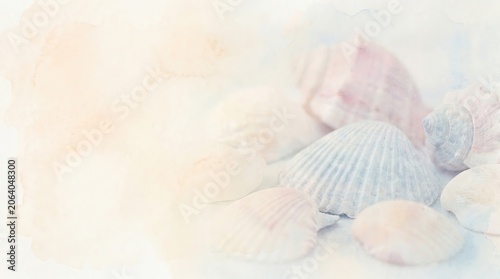 Pastel Seashell Aesthetic, Ocean Inspired Simplicity, Soft Pastel Shells on White Background